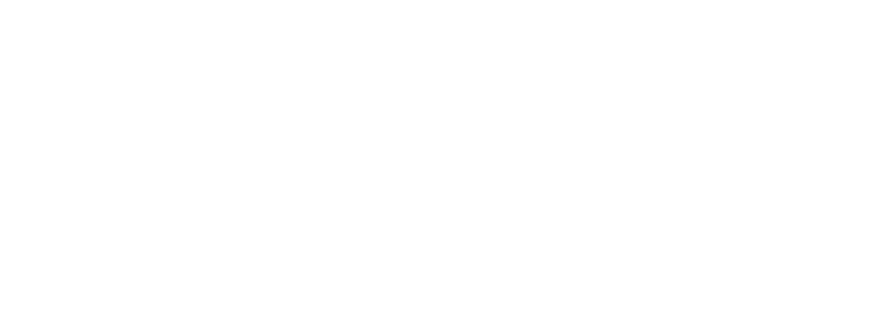 Silver Wireless